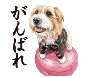 842715353