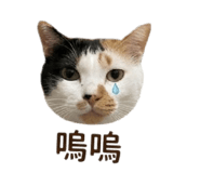 842716054