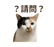 842716059