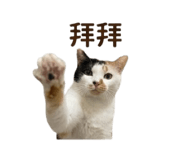 842716060
