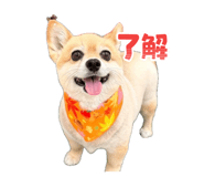 842716258