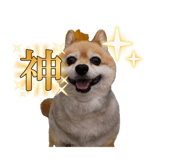842716261
