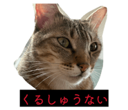842716376