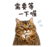 842716948