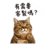 842716953