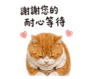 842716972