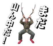 842717415