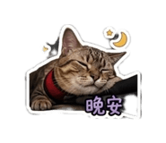 842717653