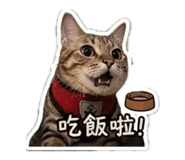 842717654