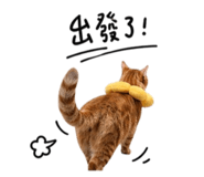 842717758