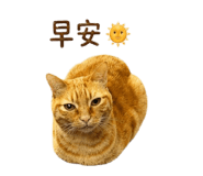 842717761
