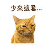 842717764