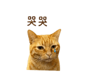 842717766