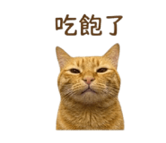 842717769