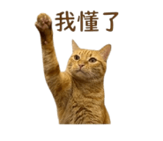 842717770