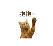 842717772