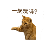 842717776
