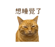 842717779
