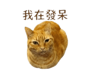 842717782