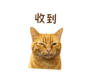 842717783