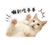 842717998