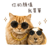 842718090