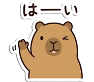 842720213