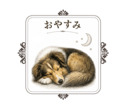 842720356
