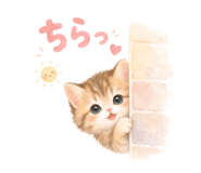 842720558