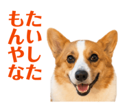 842720697