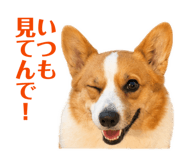 842720698