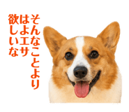 842720699