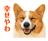 842720700