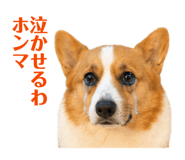 842720702