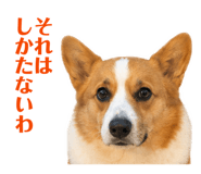 842720704