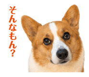 842720705