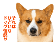842720708