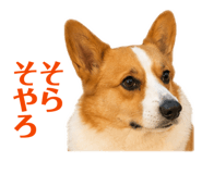 842720712
