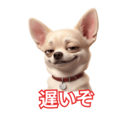 842721937