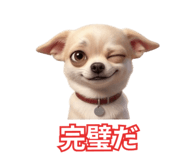 842721944
