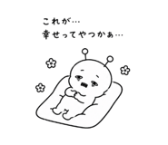 842722034