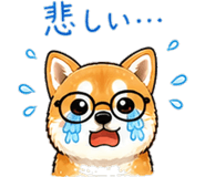 842722589