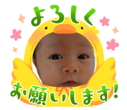 842723504