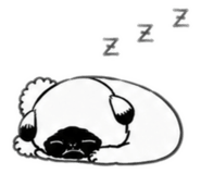 842723810
