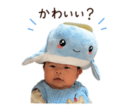 842723998