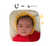842724006