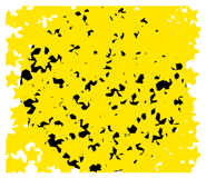 842724133
