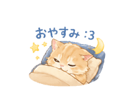 842724204