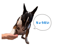 842724309