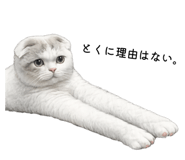 842724355